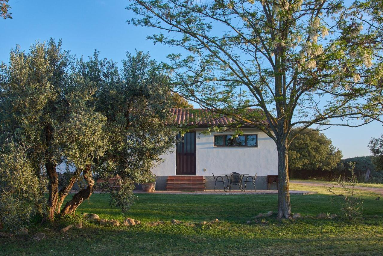 Agriturismo Tesorino Massa Marittima Esterno foto