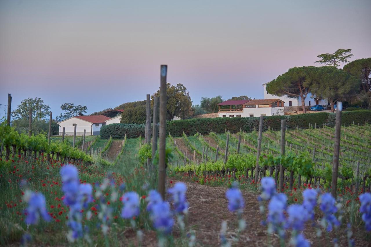 Agriturismo Tesorino Massa Marittima Esterno foto