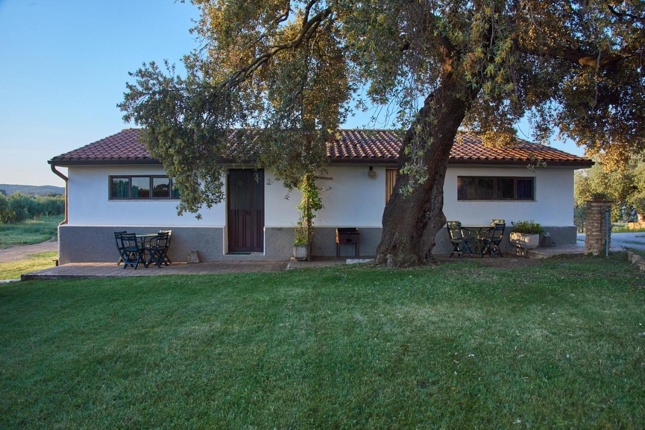 Agriturismo Tesorino Massa Marittima Esterno foto