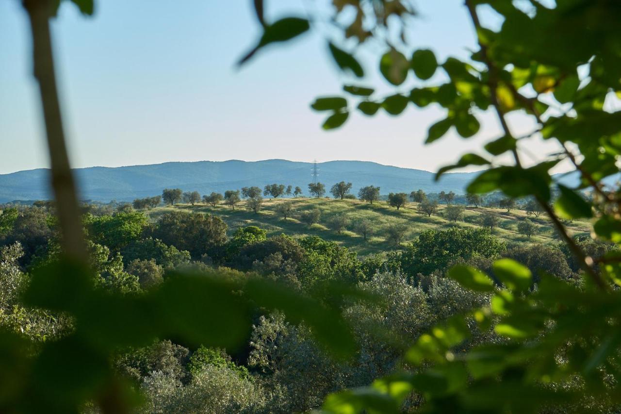 Agriturismo Tesorino Massa Marittima Esterno foto